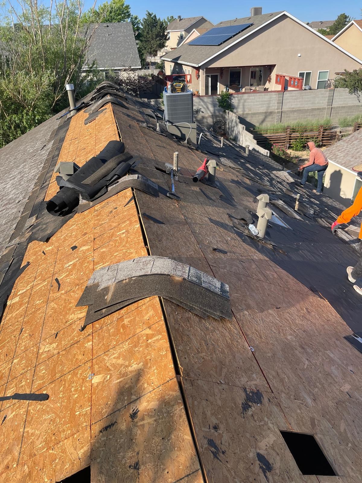 Shingle Roof Project