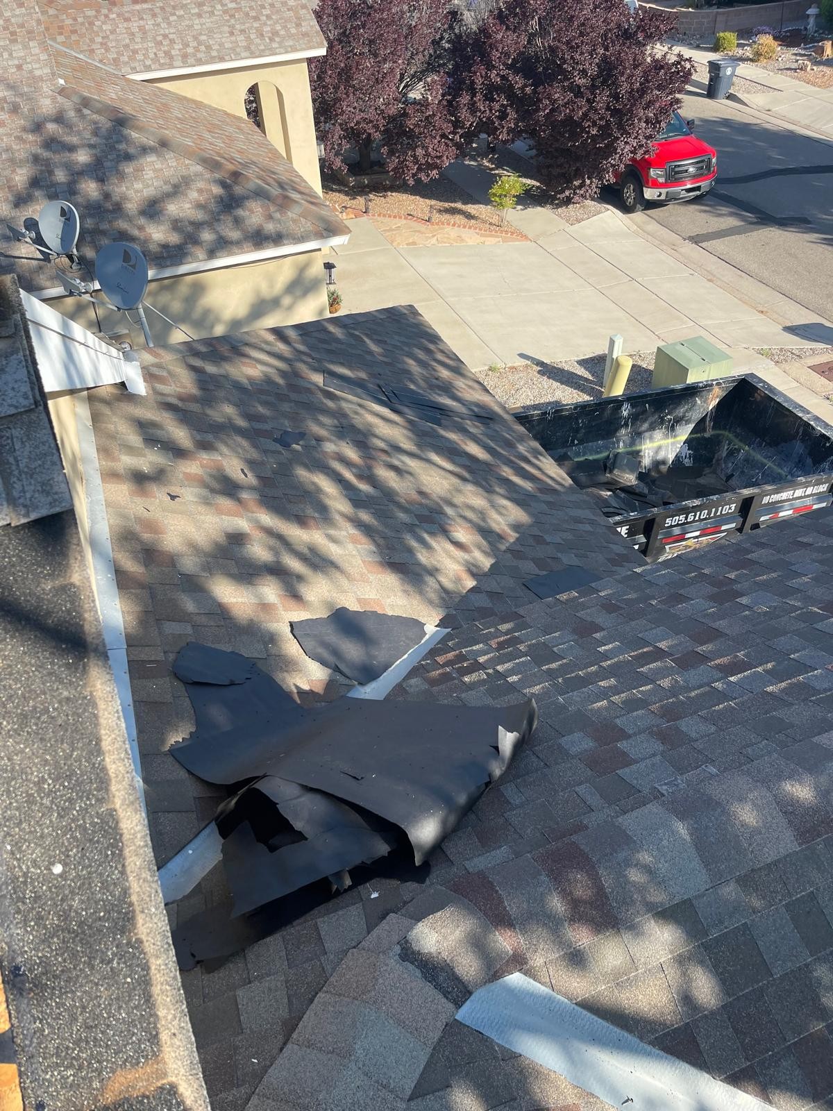 Shingle Roof Project