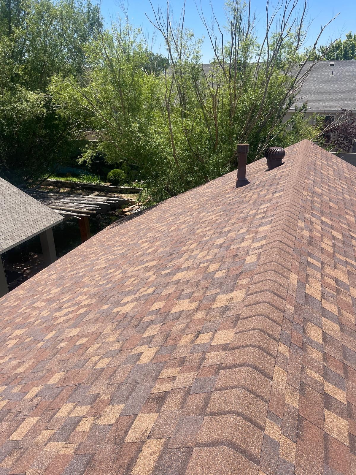 Shingle Roof Project